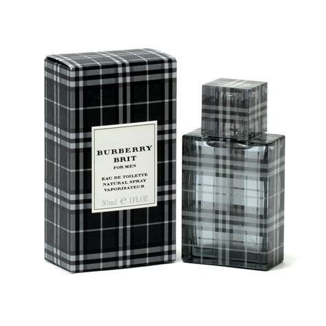 burberry brit for men cologne|burberry brit summer for men.